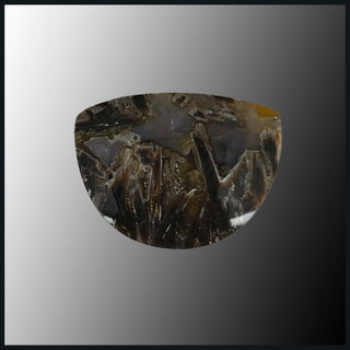 STI150c Stick Agate Cabochon