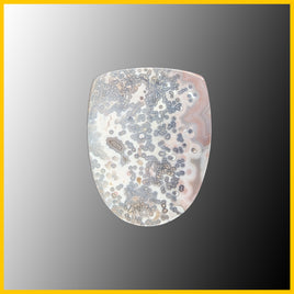 SWZ189c Swazi Agate Cabochon