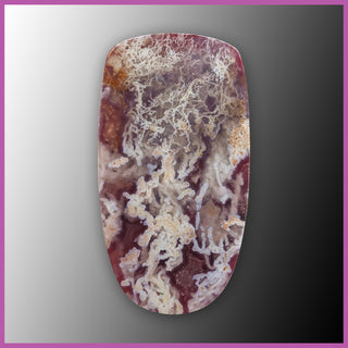 AGN1233c Agua Nueva Agate and Thulite Cabochon