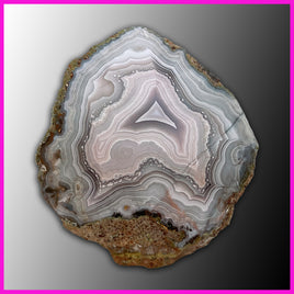 AGN524 Agua Nueva Agate Specimen