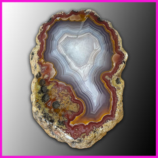 AGN530 Agua Nueva Agate Specimen