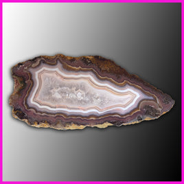 AGN531 Agua Nueva Agate Specimen
