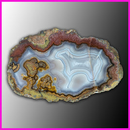 AGN534 Agua Nueva Agate Specimen