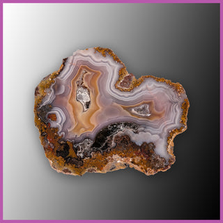 AGN538 Agua Nueva Agate Specimen