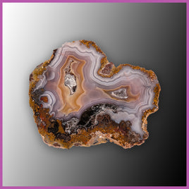 AGN538 Agua Nueva Agate Specimen