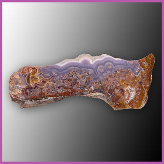 AGN540 Agua Nueva Agate Specimen