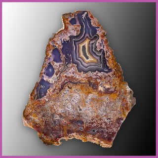 AGN543 Agua Nueva Agate Slab