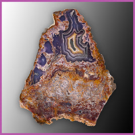 AGN543 Agua Nueva Agate Slab