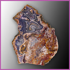 AGN544 Agua Nueva Agate Slab
