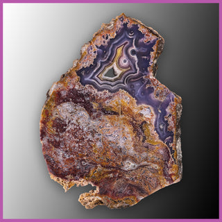 AGN545 Agua Nueva Agate Slab