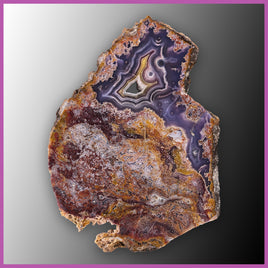 AGN545 Agua Nueva Agate Slab
