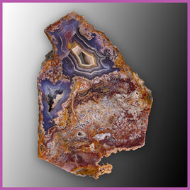 AGN546 Agua Nueva Agate Slab