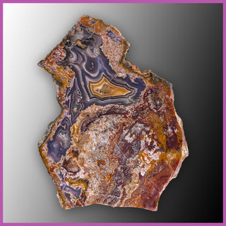 AGN547 Agua Nueva Agate Slab