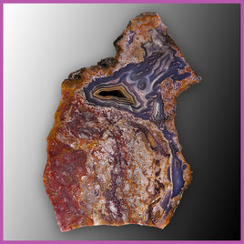 AGN548 Agua Nueva Agate Specimen