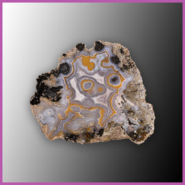 AGN549 Agua Nueva Agate Specimen