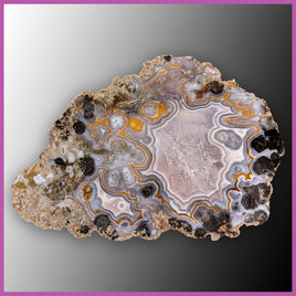 AGN550 Agua Nueva Agate Slab