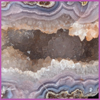 AGN552 Agua Nueva Agate Specimen