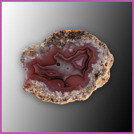 AGN553 Agua Nueva Agate Specimen