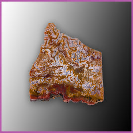 AGN555 Agua Nueva Agate Specimen