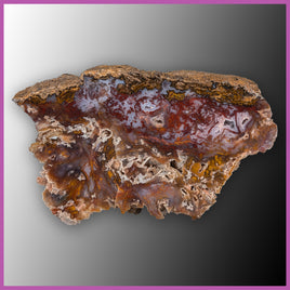 AGN556 Agua Nueva Agate Specimen