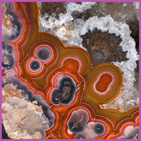 AGN557 Agua Nueva Agate Specimen
