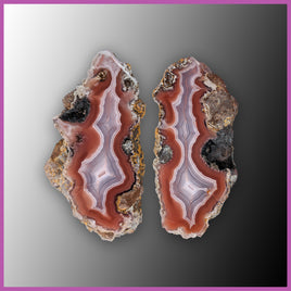 AGN559pr Agua Nueva Agate Specimen Pair