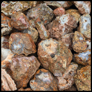 Agua Nueva Agate, Nodular #3, Rough Rock, per lb
