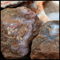 Agua Nueva Agate, Nodular #2, Rough Rock, per lb