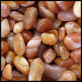 Carnelian Agate, Banded, Tumbled Stone, 1 lb lot
