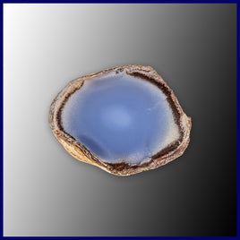 BLC113 Blue Chalcedony Specimen