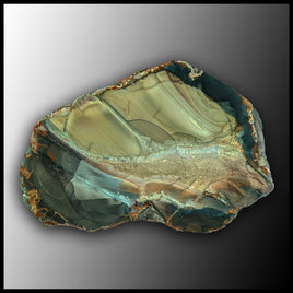 BLM221 Blue Mountain Jasper Specimen