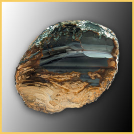 BLM502tr Blue Mountain Jasper Slab