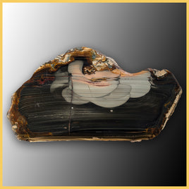 BLM506tr Blue Mountain Jasper Slab