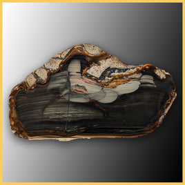 BLM507tr Blue Mountain Jasper Slab