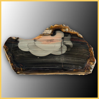 BLM508tr Blue Mountain Jasper Slab