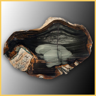 BLM509tr Blue Mountain Jasper Specimen