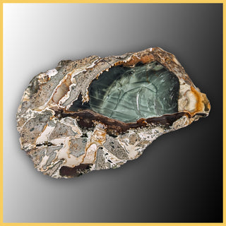 BLM517tr Blue Mountain Jasper Specimen