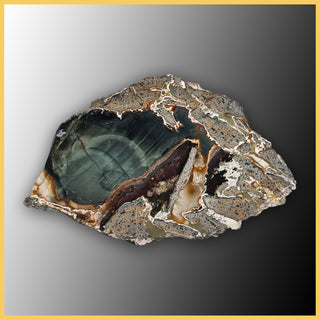 BLM518tr Blue Mountain Jasper Specimen