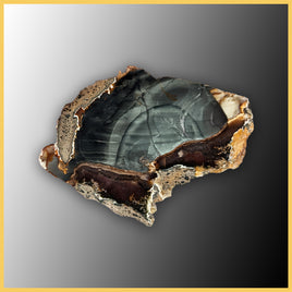 BLM520tr Blue Mountain Jasper Slab