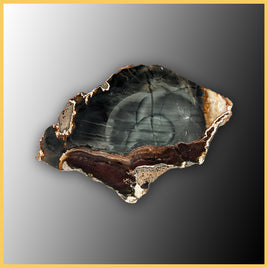 BLM521tr Blue Mountain Jasper Slab