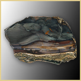 BLM527tr Blue Mountain Jasper Slab