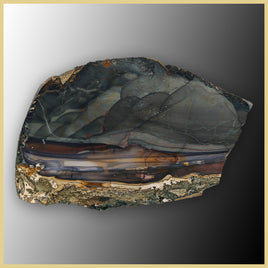 BLM526tr Blue Mountain Jasper Slab