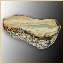 BLM528tr Blue Mountain Jasper Slab