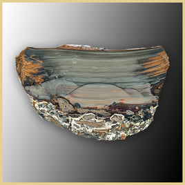 BLM530tr Blue Mountain Jasper Slab