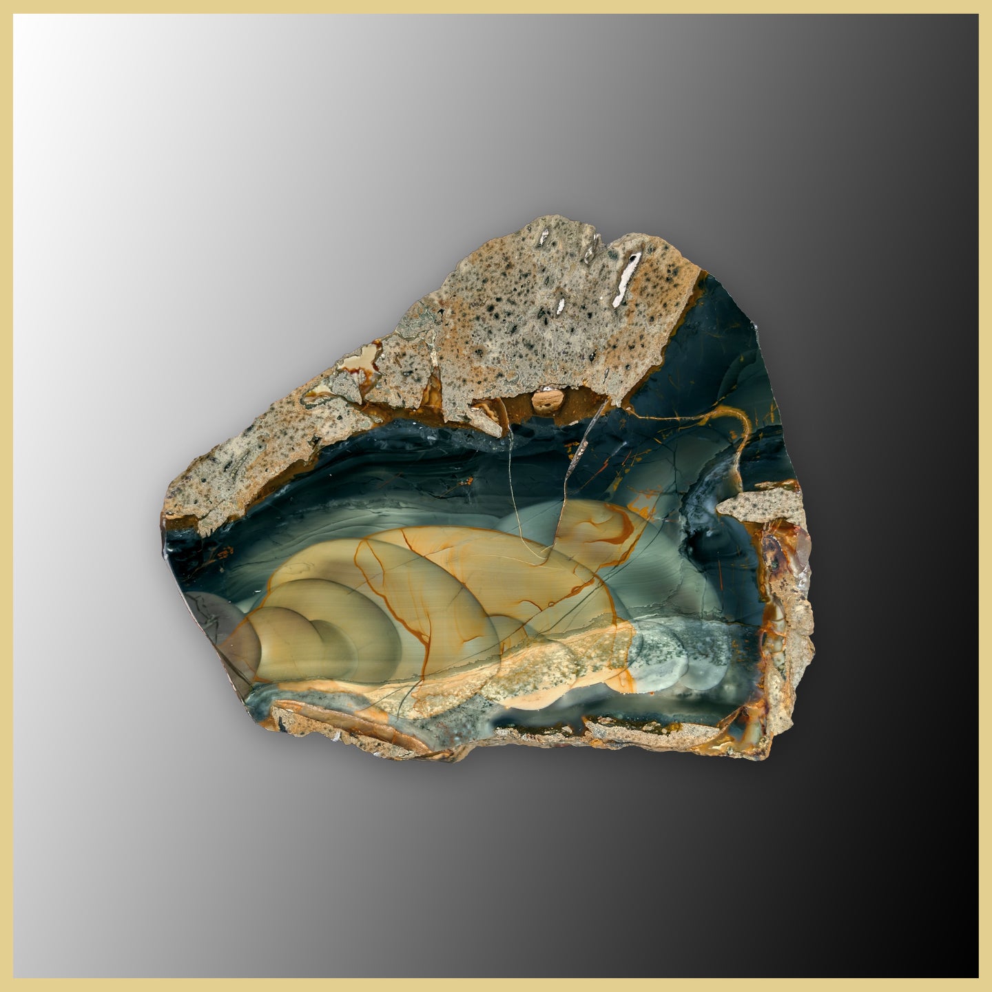 BLM537tr Blue Mountain Jasper Specimen| The Gem Shop, Inc.
