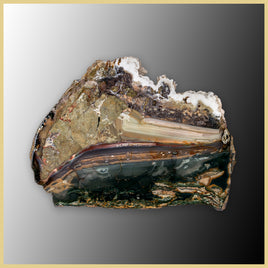 BLM539tr Blue Mountain Jasper Slab