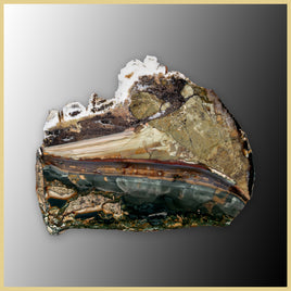BLM540tr Blue Mountain Jasper Slab