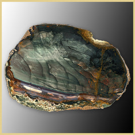 BLM541tr Blue Mountain Jasper Slab