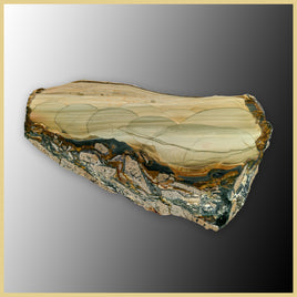 BLM544tr Blue Mountain Jasper Slab