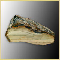 BLM544tr Blue Mountain Jasper Slab